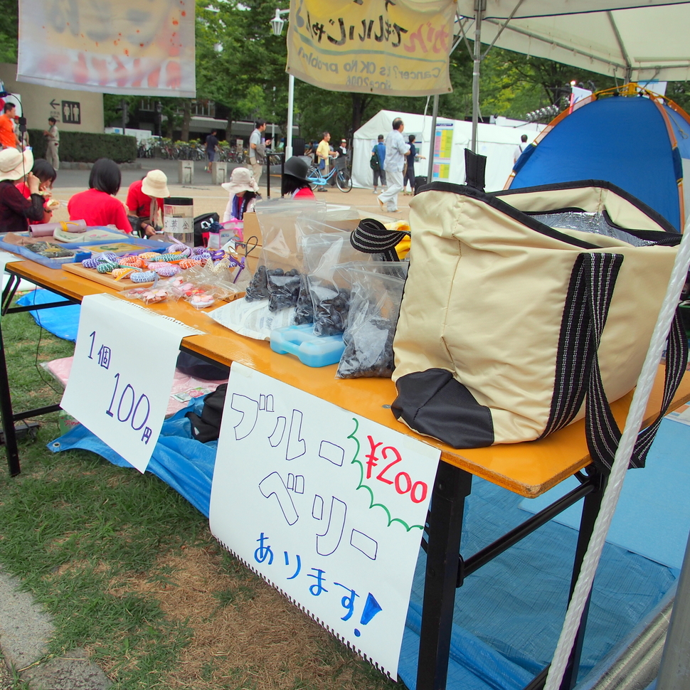 2011shinyokohama_26