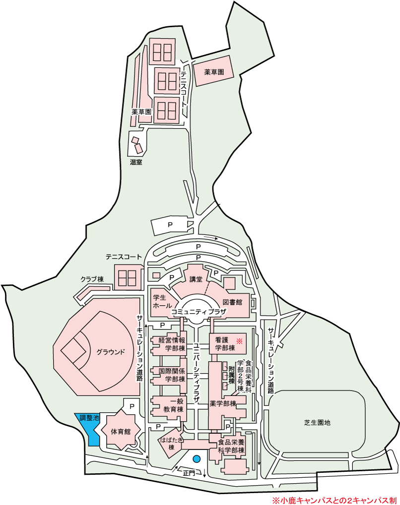 リレー フォー ライフ ジャパン静岡